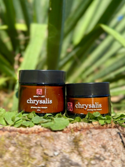 CHRYSALIS: ginseng clay masque