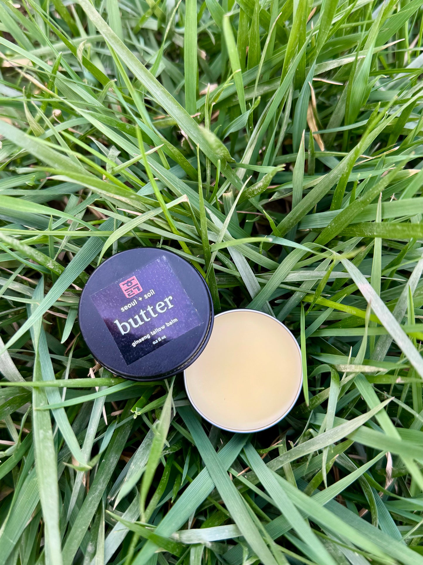 BUTTER: ginseng tallow lip balm (tin)